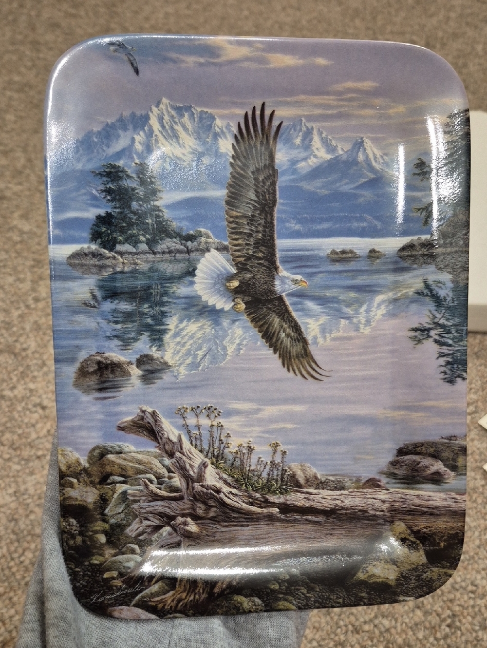 Wild Wings 1995 "As The Eagle Soars" Collectible Plate Dawn's Call Plate #4196B